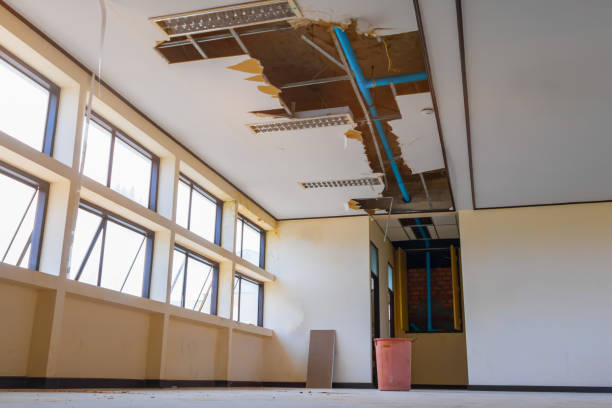 Best Flood damage cleanup  in Mcminnville, OR
