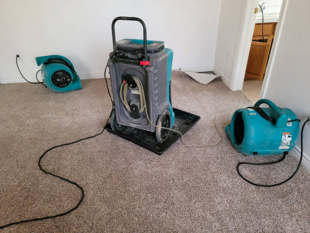 Best Water damage restoration near me  in Mcminnville, OR