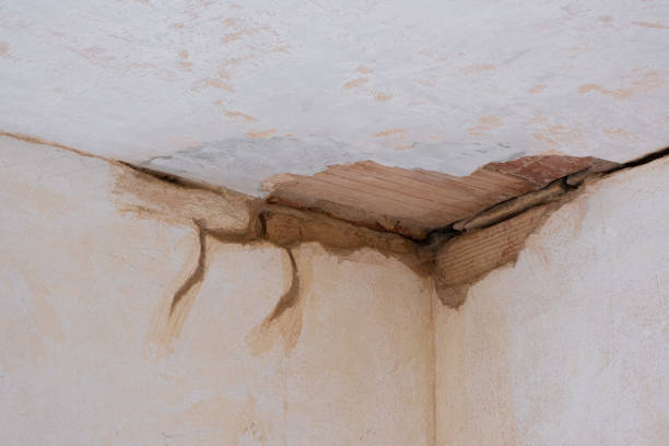 Best Mold removal after water damage  in Mcminnville, OR