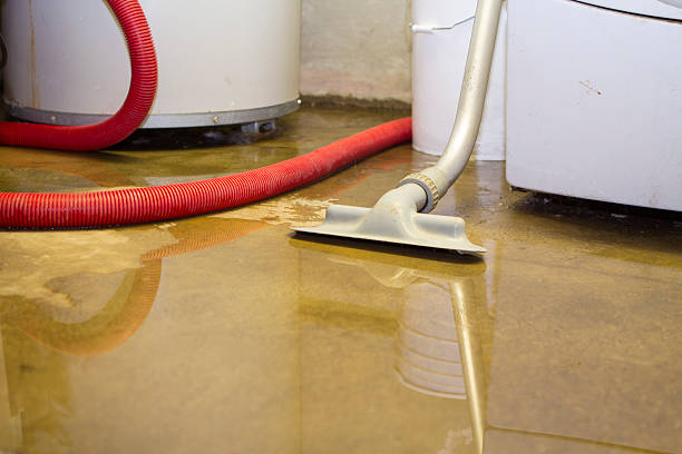 Best 24-hour water damage restoration  in Mcminnville, OR