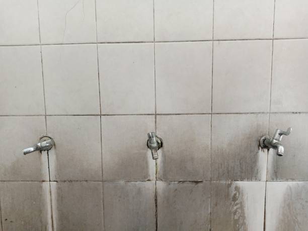 Best Sewage cleanup and water damage restoration  in Mcminnville, OR