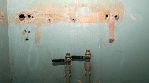 Best Residential water damage restoration  in Mcminnville, OR