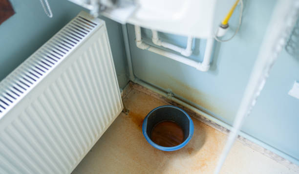 Best Flooded house restoration  in Mcminnville, OR