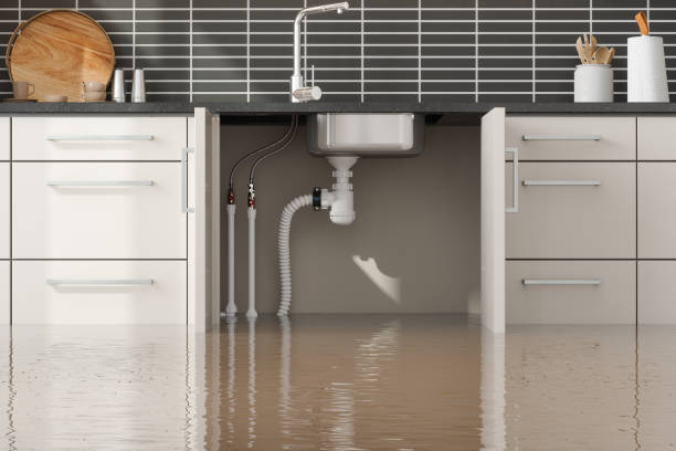 Best Ceiling water damage repair  in Mcminnville, OR