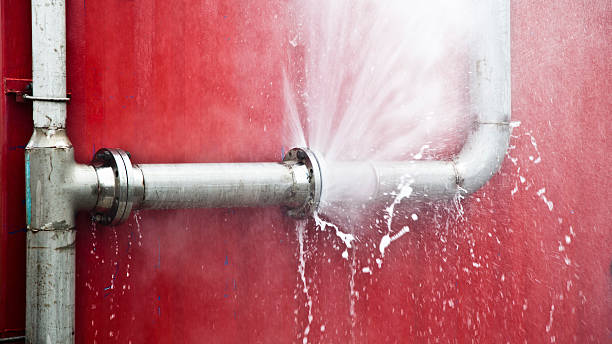 Best Commercial water damage restoration  in Mcminnville, OR
