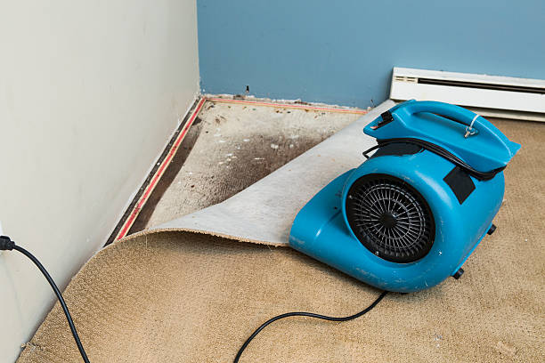 Best Professional water damage repair  in Mcminnville, OR